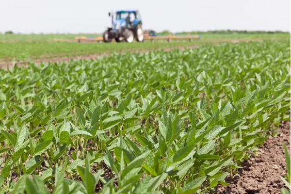 浙江省農(nóng)業(yè)農(nóng)村廳關(guān)于對(duì)2025年第三批投檔違規(guī)企業(yè)處理的通知