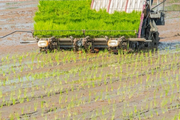 廣西對2025年度第二批農(nóng)機購置與應用補貼產(chǎn)品違規(guī)投檔企業(yè)進行約談