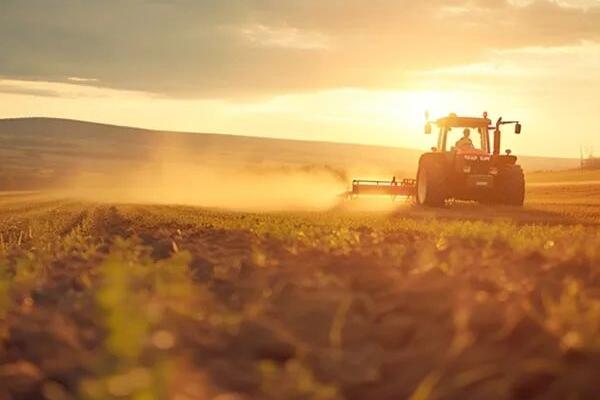 敦化：政策衔接强根基 质量引领护黑土