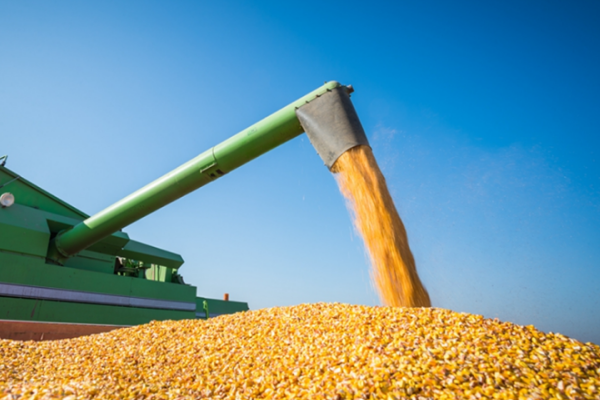 榆次举办2025年粮食产地烘干设施建设与应急救援体系建设项目现场培训演示会