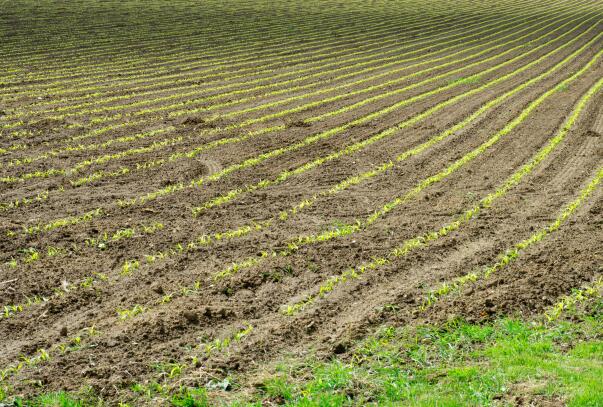 农业农村部召开农业农村标准化工作推进会强调 抓紧抓实农业农村标准化工作 以标准升级引领农业农村高质量发展