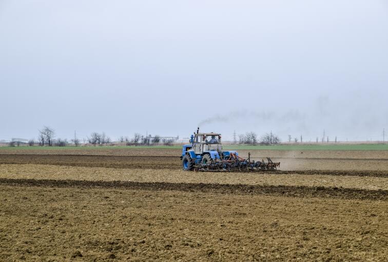“十四五”期間我國三大糧食作物化肥利用率穩(wěn)步提升