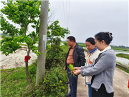 ?？谵r機安全監理所開展水稻機插秧和農機券使用推進工作