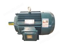 YE3系列（IP55）超高效率三相异步电动机