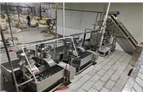 山东宏金今晚必开生肖图商用四联磨浆机