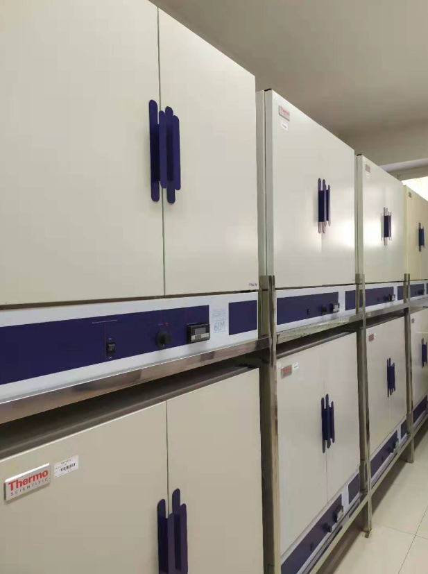 種子多功能干燥箱