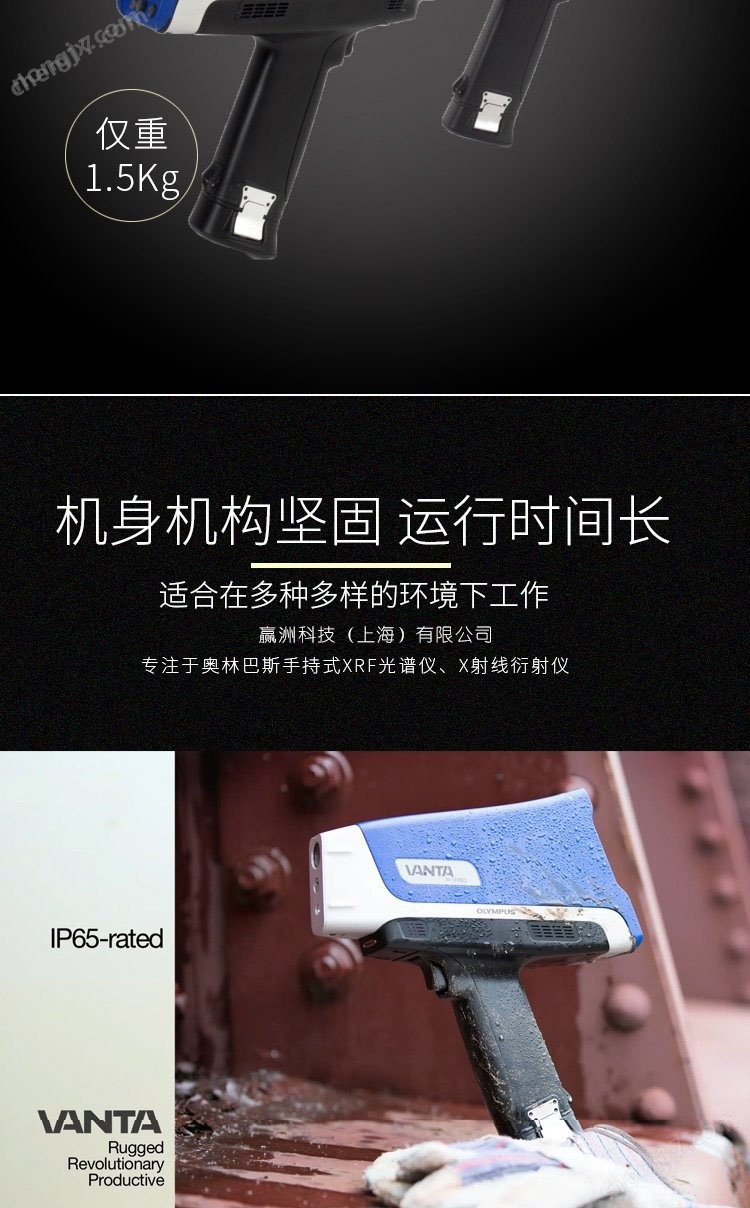 仪景通 三元催化金属元素检测分析仪
