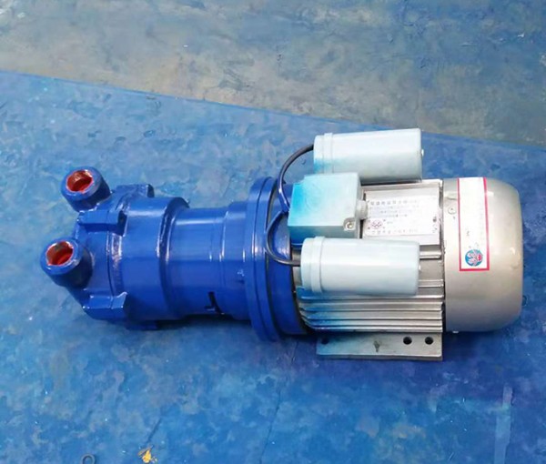 水環(huán)真空泵